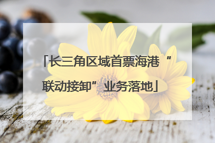 长三角区域首票海港“联动接卸”业务落地